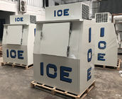 Congelador empaquetado al aire libre del almacenaje del hielo del sistema de enfriamiento del hielo de la puerta sólida