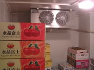 Mini tipo frío de la refrigeración por aire del trastero para la congelación vegetal de las frutas