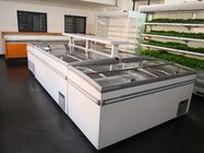Gabinete de exhibición combinado del congelador de la isla de la comida congelada del supermercado