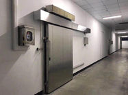 Paseo en contenedor de encargo del congelador de ráfaga de las cámaras frías de la carne en un equipo de refrigeración más fresco