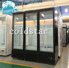 El auto de cristal de las puertas del congelador 3 comerciales descongela el congelador de refrigerador vertical de la exhibición del helado