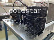 Refrigerador de cristal de la exhibición de las bebidas de Ruibei del refrigerador de las puertas frías del escaparate 3
