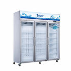 Exhiba el congelador de refrigerador frío de la exhibición del escaparate de las puertas de cristal del doble del congelador 500l de Pepsi