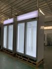 Congelador de cristal vertical de la exhibición de la comida congelada del supermercado del refrigerador de la puerta de -22C
