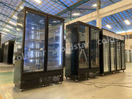Congelador de refrigerador vertical de la exhibición de la puerta de cristal comercial del congelador de 2 puertas