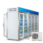 Refrigerador vertical del escaparate del refrigerador y del congelador del colmado