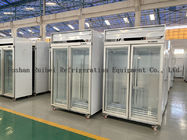 congelador de refrigerador vertical de la exhibición del congelador de cristal comercial de la puerta 1000L