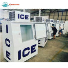 Congelador empaquetado al aire libre del almacenaje del hielo del sistema de enfriamiento del hielo de la puerta sólida