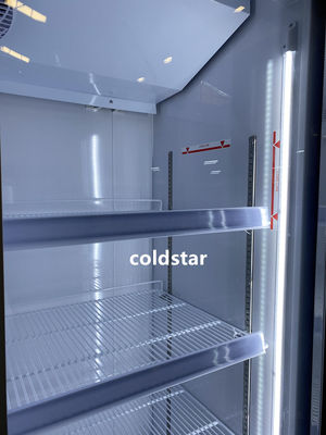 Refrigerador vertical de la exhibición de la puerta doble del equipo de refrigeración del supermercado