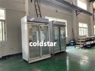 Congelador de refrigerador profesional de la exhibición de la puerta doble del refrigerador de la exhibición