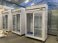 Solo refrigerador frío de la exhibición de la bebida del equipo de refrigeración de la temperatura de la capacidad grande