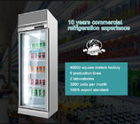 Enchufe del anuncio publicitario en escaparate de cristal vertical de la exhibición de la puerta del refrigerador y del congelador